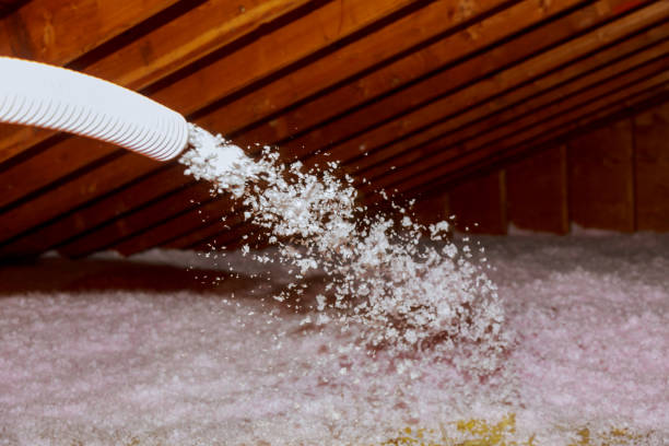 Best Insulation Maintenance and Repair in South Rosemary, NC